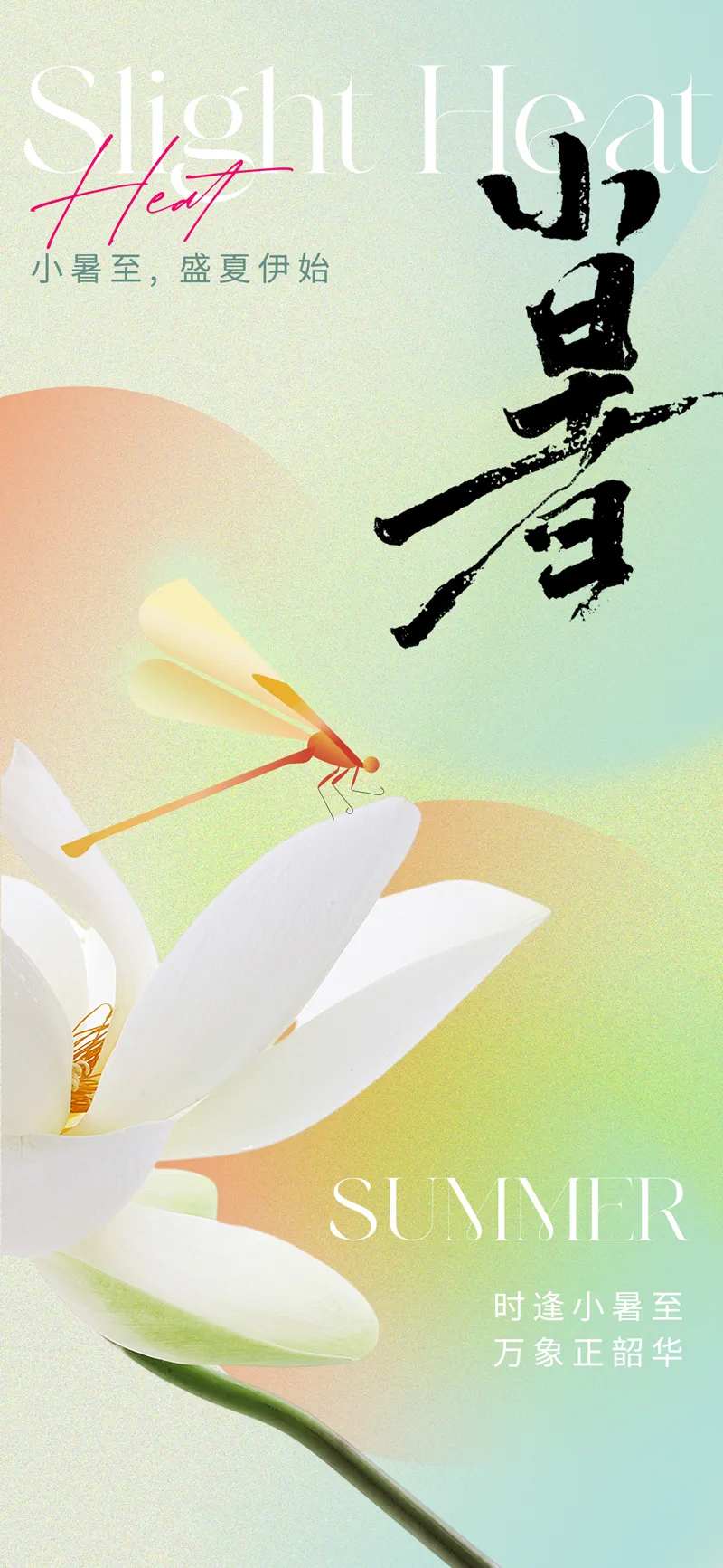 东方美学意境小暑节气海报-采灵感-cailinggan.com