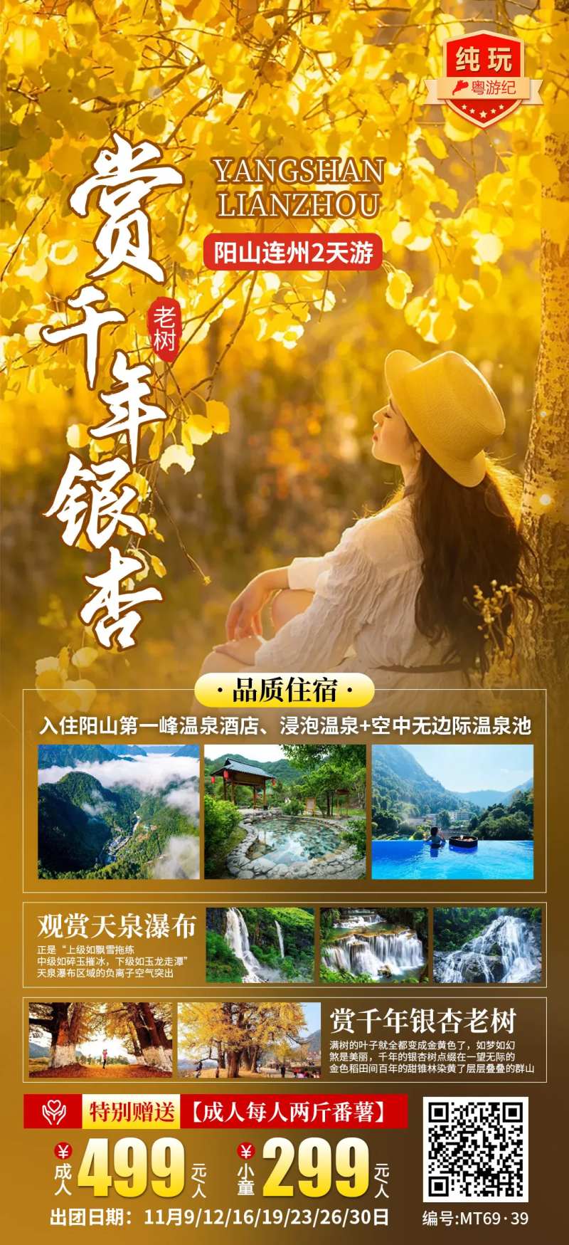 银杏阳山连州2天-采灵感-cailinggan.com