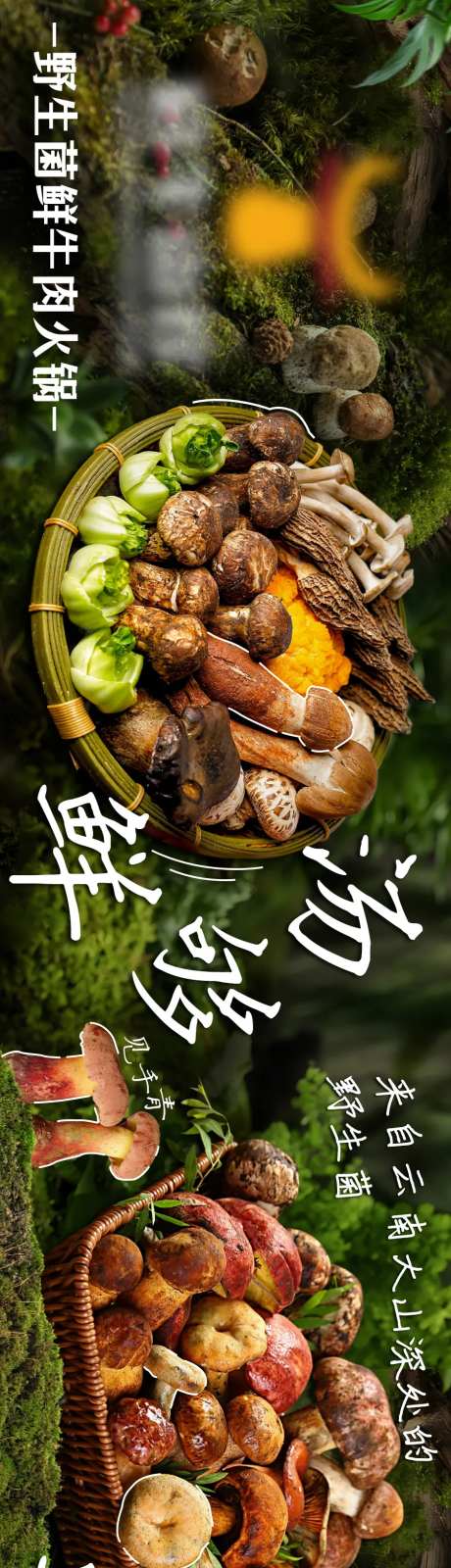 夏季菌子五图-采灵感-https://www.cailinggan.com/