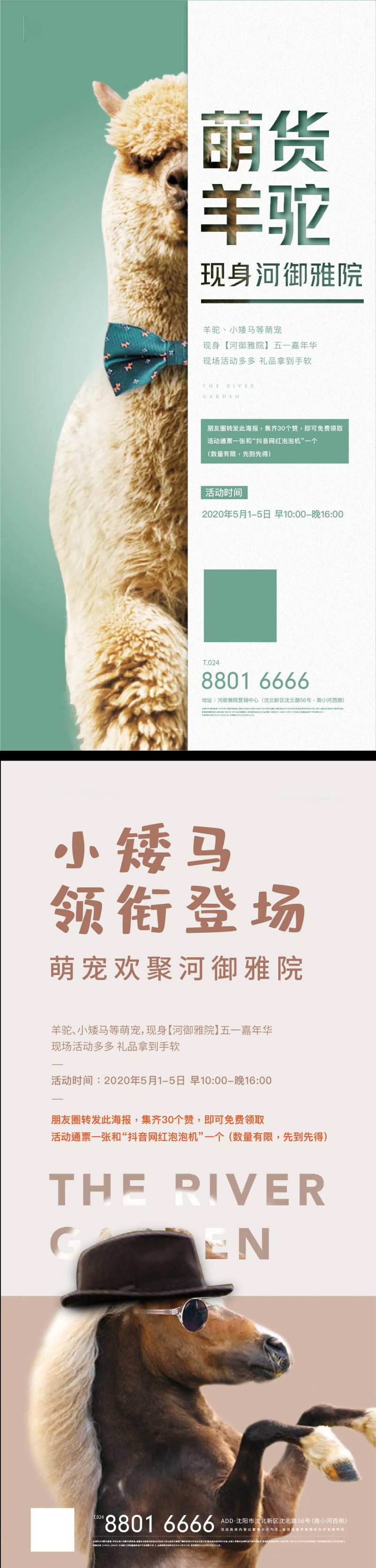 积赞有礼系列宠物活动海报-采灵感-cailinggan.com