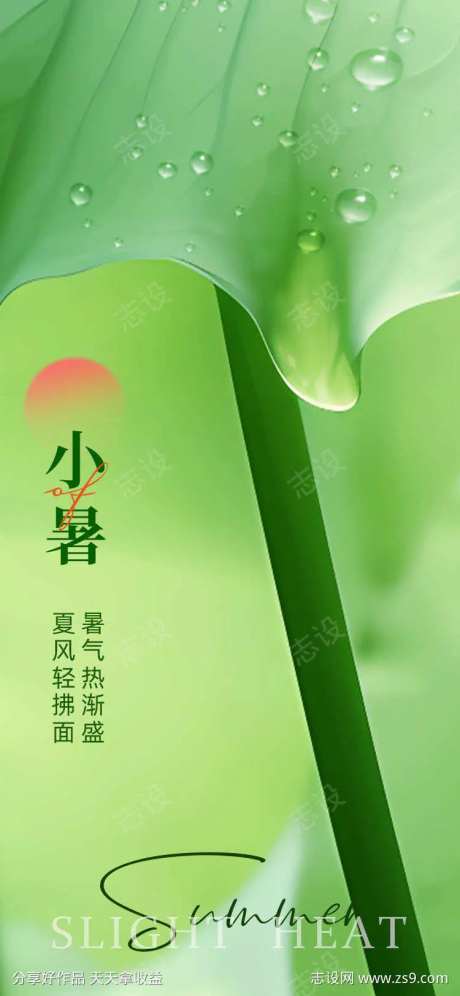 小暑荷下乘凉-采灵感-https://www.cailinggan.com/