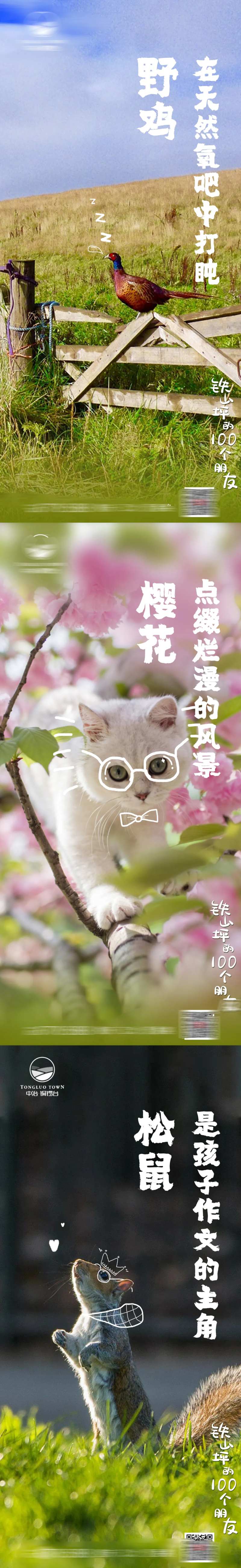 万物萌动系列海报-采灵感-cailinggan.com