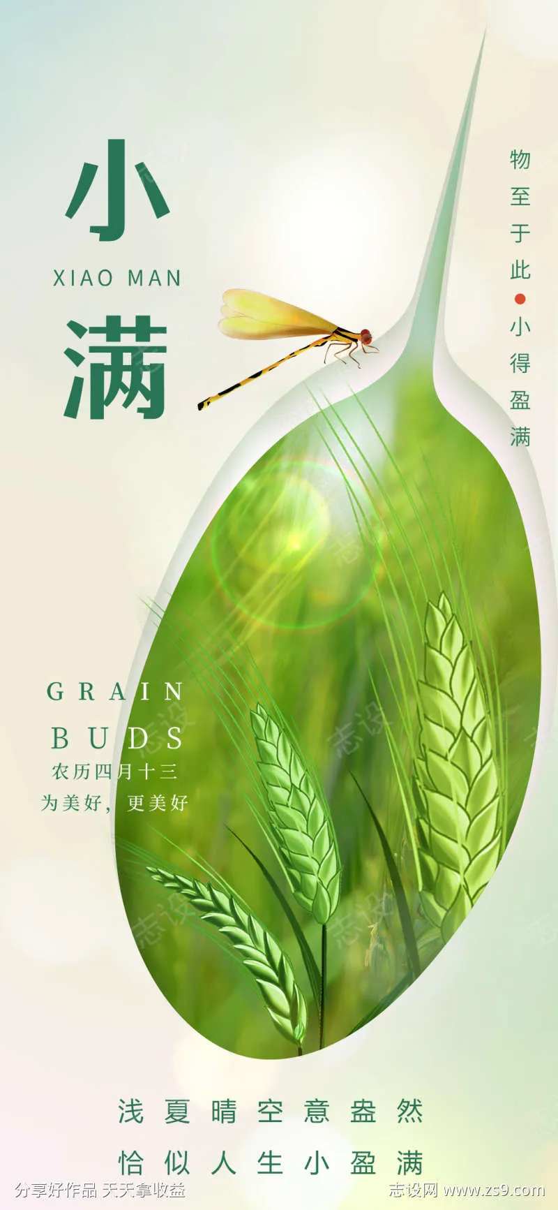 2014小满节气海报-采灵感-cailinggan.com