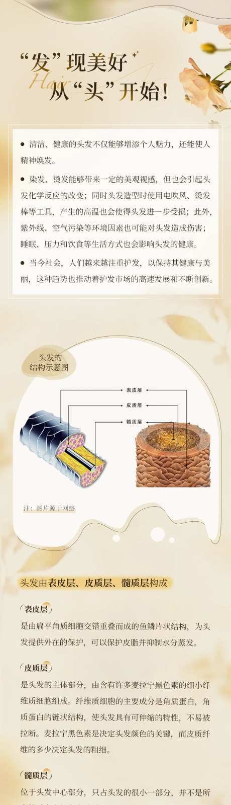 简约护发宣传长图-采灵感-https://www.cailinggan.com/