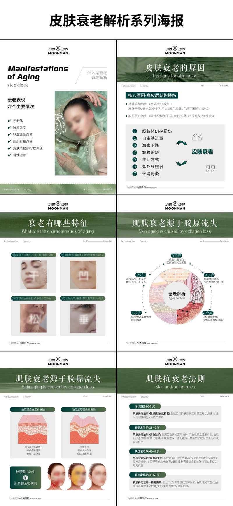 皮肤衰老解析海报-采灵感-cailinggan.com