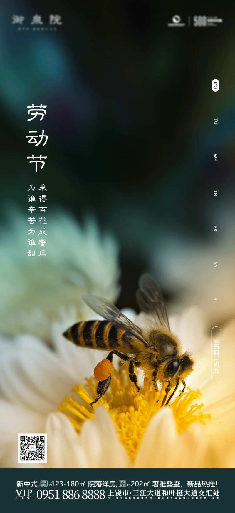 五一劳动节蜜蜂海报-采灵感-cailinggan.com