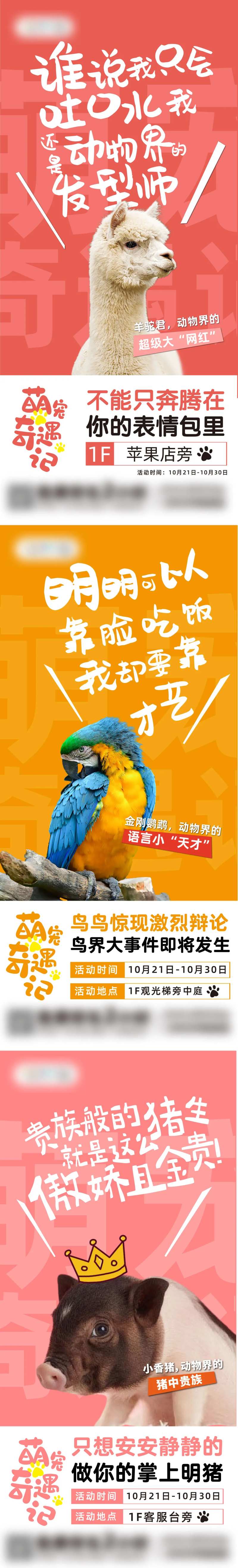 萌宠展宣传倒计时海报-采灵感-cailinggan.com