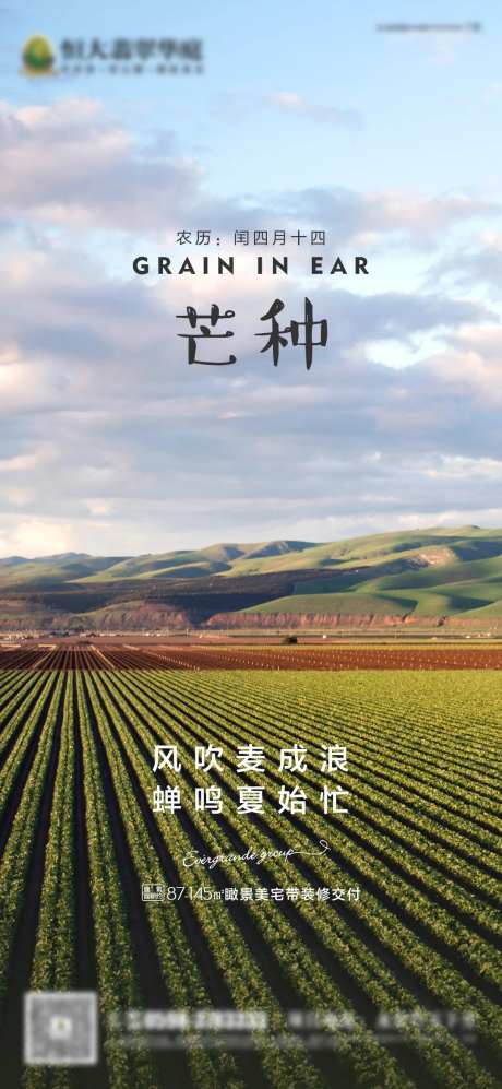 房地产节日节气芒种微信海报-采灵感-https://www.cailinggan.com/