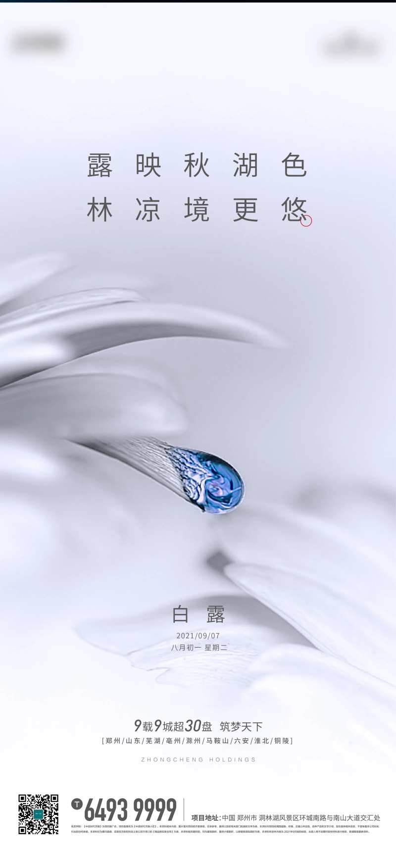 白露节气海报-采灵感-cailinggan.com