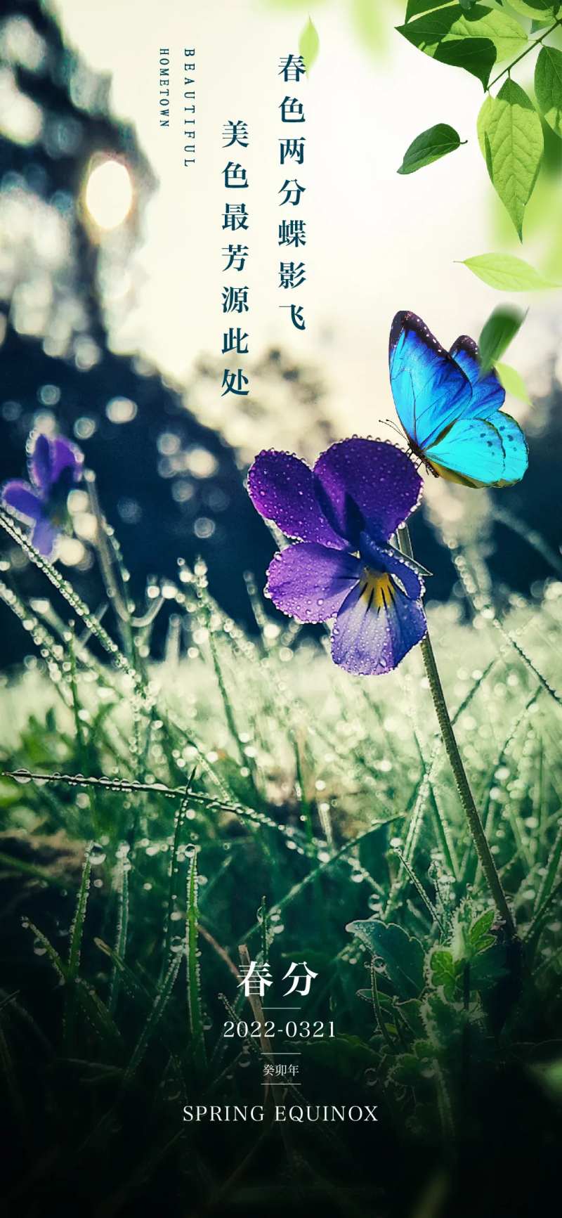 春分海报-采灵感-cailinggan.com