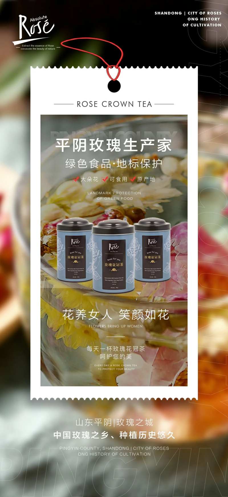 平阴玫瑰花茶海报-采灵感-cailinggan.com