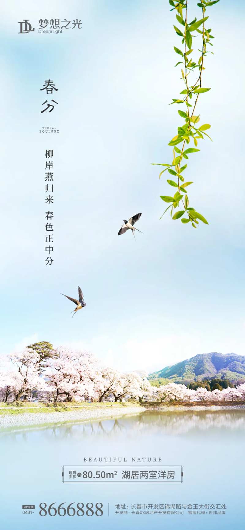 春分柳树枝海报-采灵感-cailinggan.com