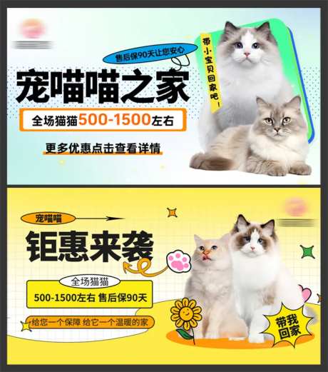 宠物领养banner-采灵感-https://www.cailinggan.com/