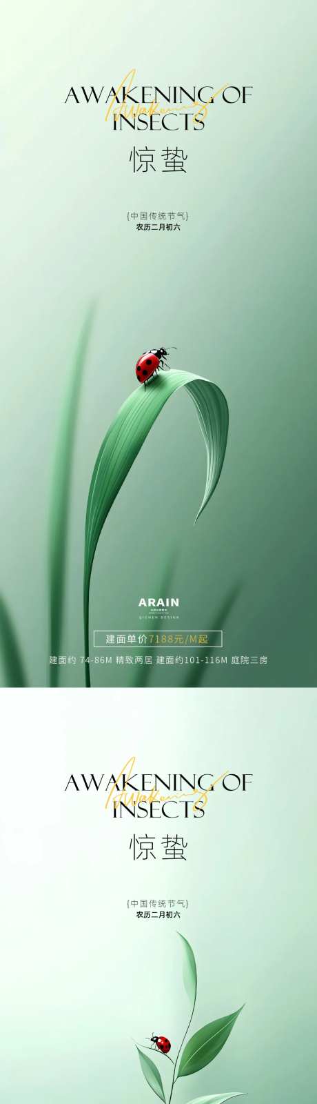 惊蛰昆虫摄影简约海报-采灵感-https://www.cailinggan.com/