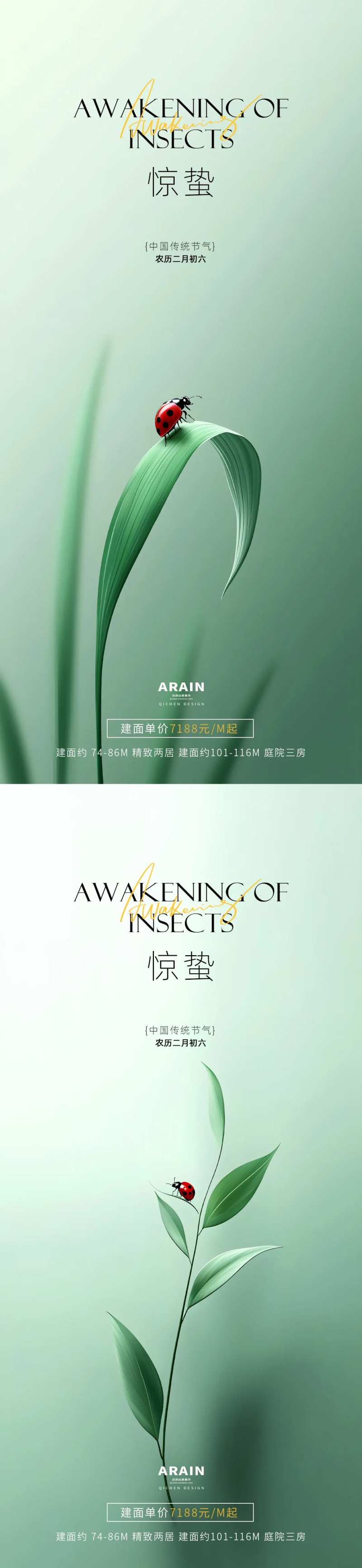 惊蛰昆虫摄影简约海报-采灵感-cailinggan.com