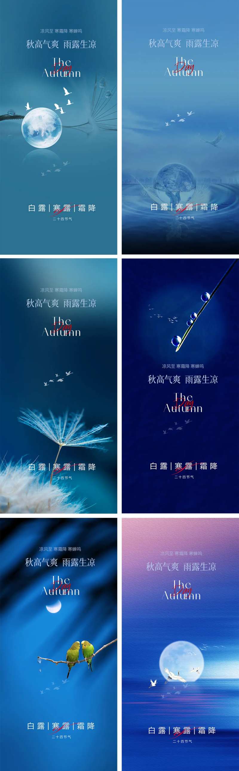 白露寒露霜降节气海报-采灵感-cailinggan.com