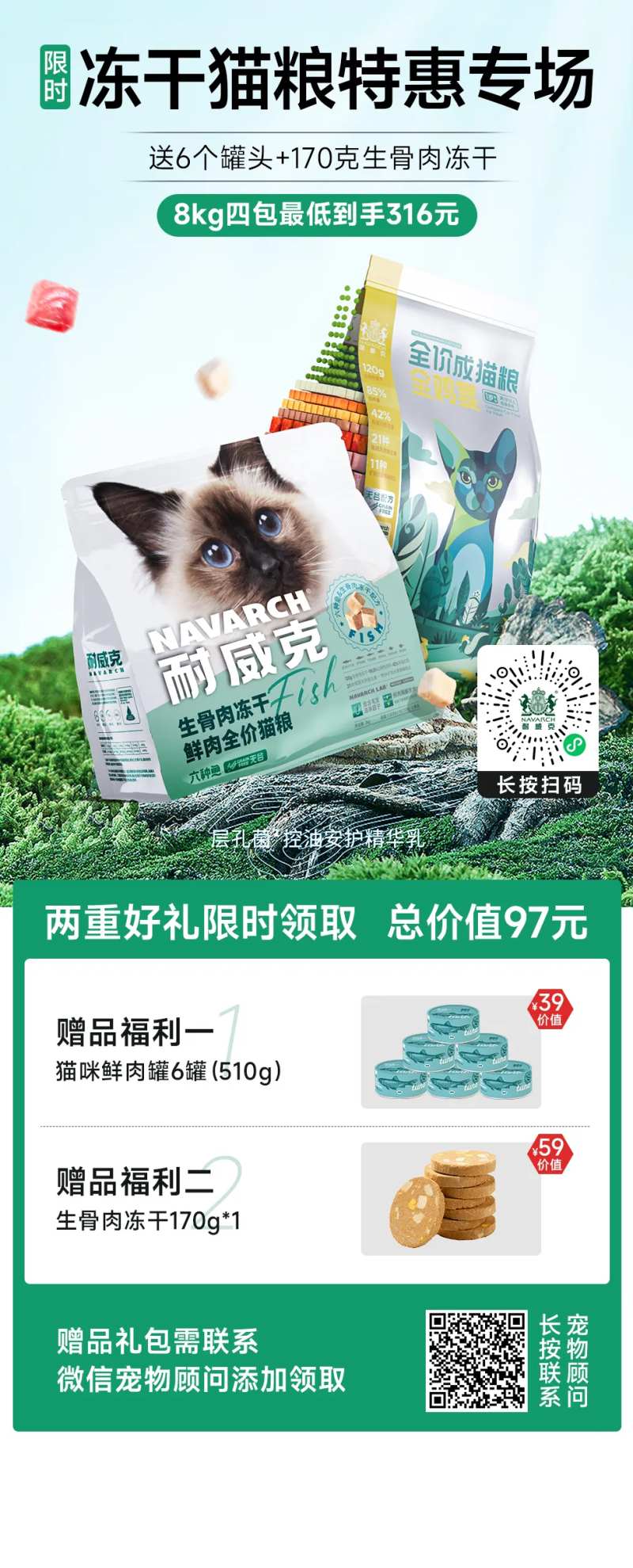 猫粮促销专场海报-采灵感-cailinggan.com