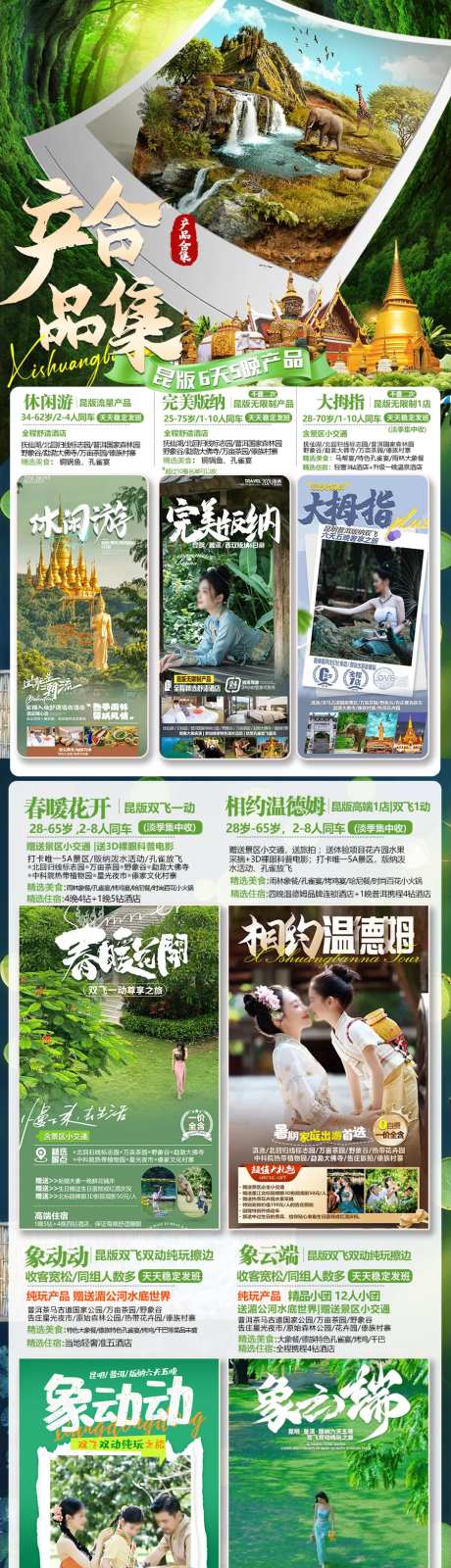 西双版纳宣传系列海报-采灵感-https://www.cailinggan.com/