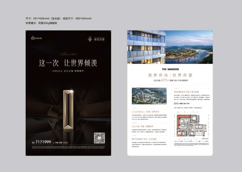 大平层dm单-采灵感-cailinggan.com
