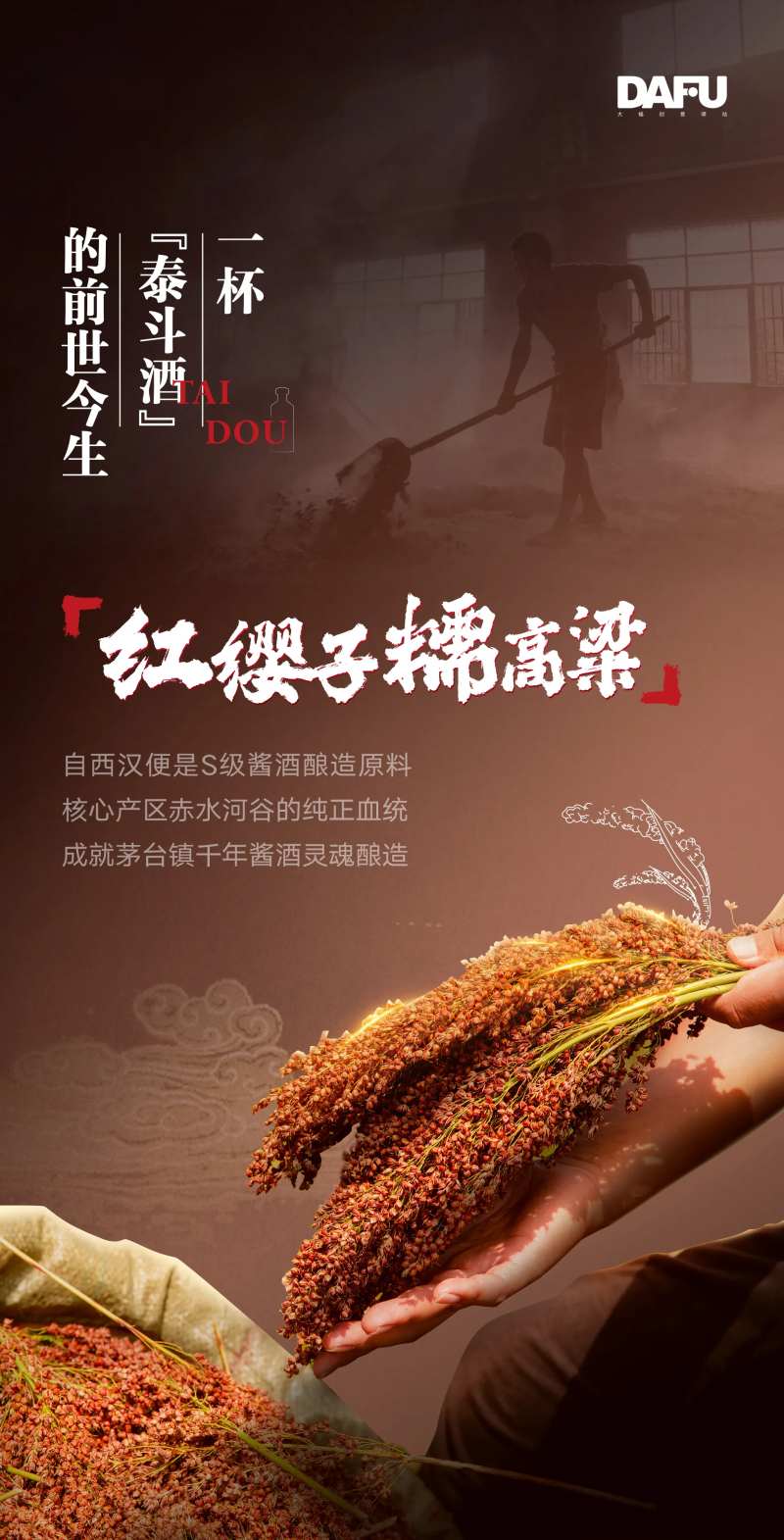 酒原材料海报-采灵感-cailinggan.com