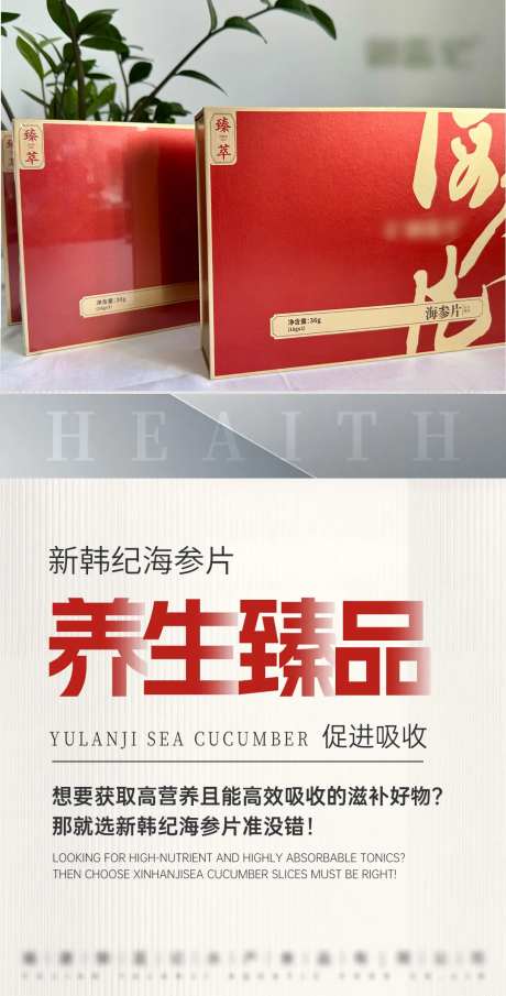 海参片产品海报-采灵感-https://www.cailinggan.com/