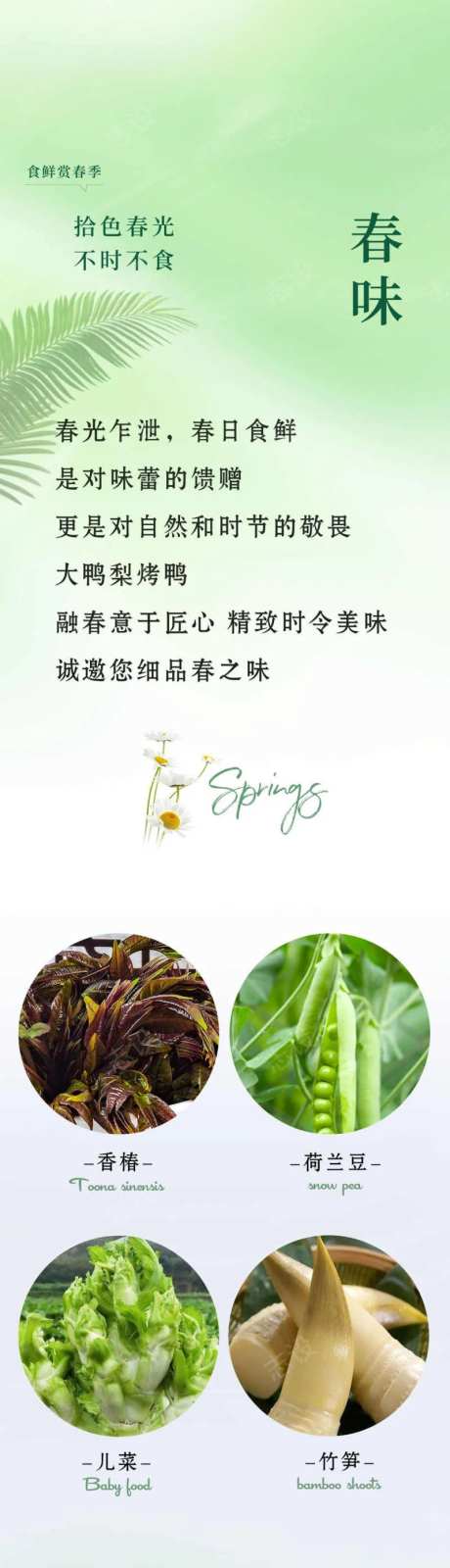 春季新菜品-采灵感-https://www.cailinggan.com/