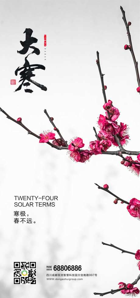 干净腊梅大寒节气海报-采灵感-https://www.cailinggan.com/