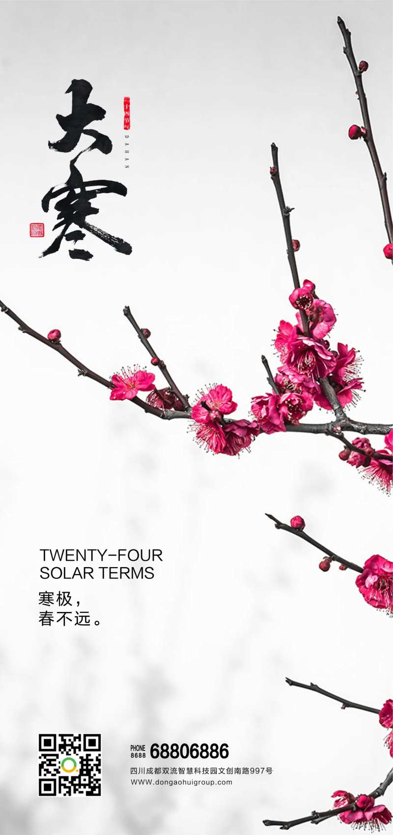 干净腊梅大寒节气海报-采灵感-cailinggan.com