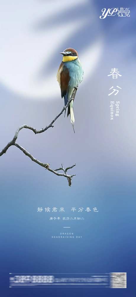 地产春分海报-采灵感-https://www.cailinggan.com/