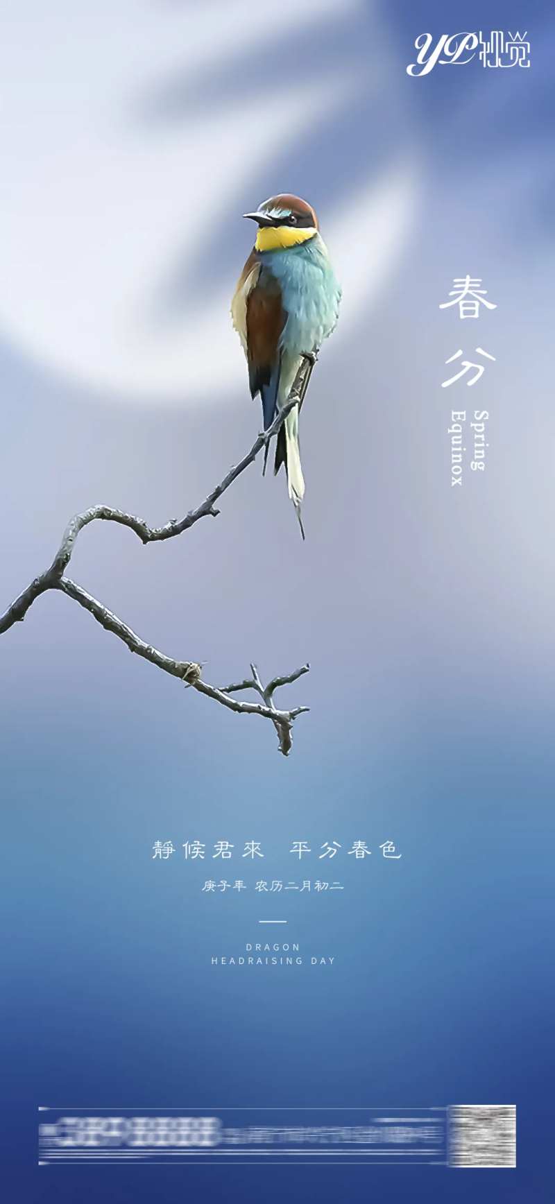 地产春分海报-采灵感-cailinggan.com