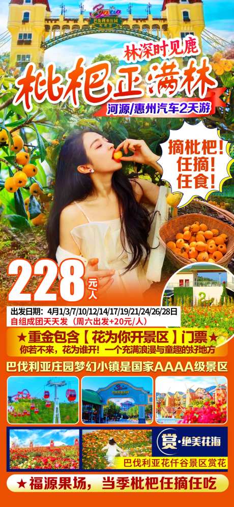 枇杷水果园海报-采灵感-https://www.cailinggan.com/