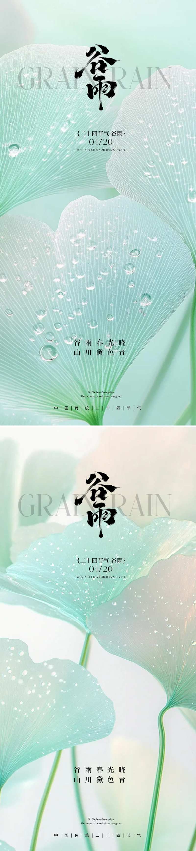 谷雨银杏叶海报-采灵感-cailinggan.com