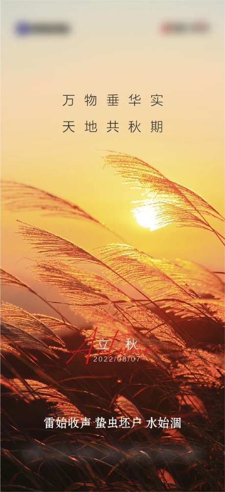 立秋节气海报-采灵感-cailinggan.com