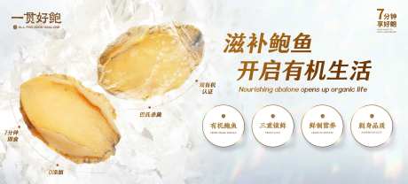 滋补鲍鱼banner-采灵感-https://www.cailinggan.com/