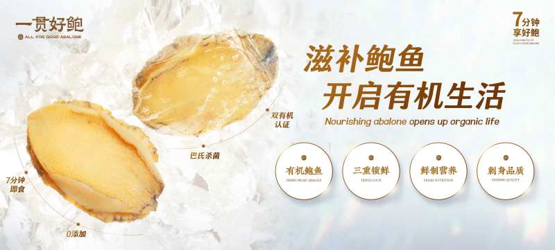 滋补鲍鱼banner-采灵感-cailinggan.com