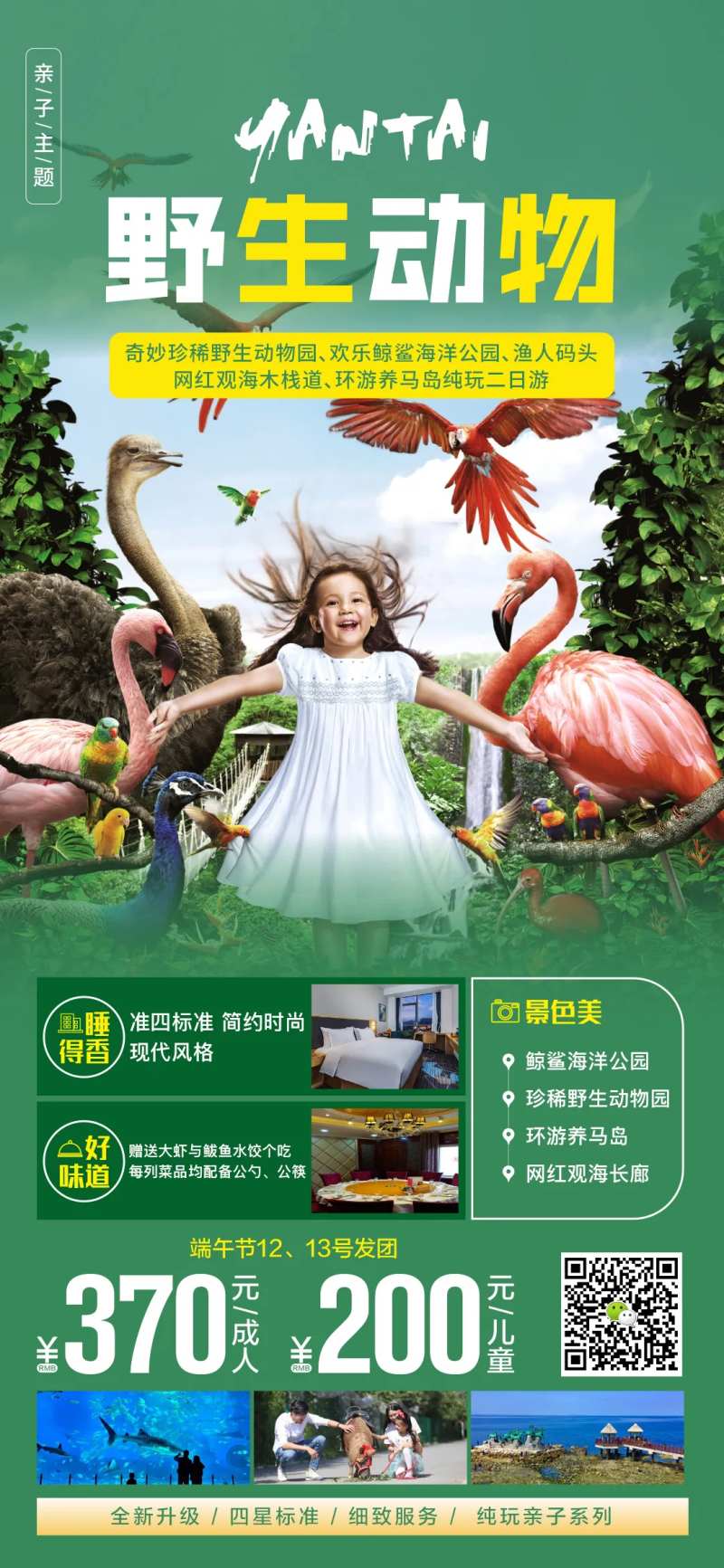 野生动物-采灵感-cailinggan.com
