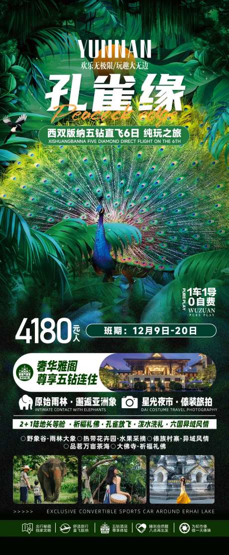 孔雀缘西双版纳旅游海报-采灵感-https://www.cailinggan.com/