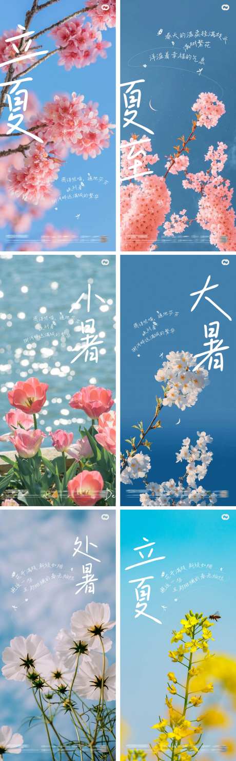 立夏夏至小暑大暑处暑24节气花卉海报-采灵感-https://www.cailinggan.com/