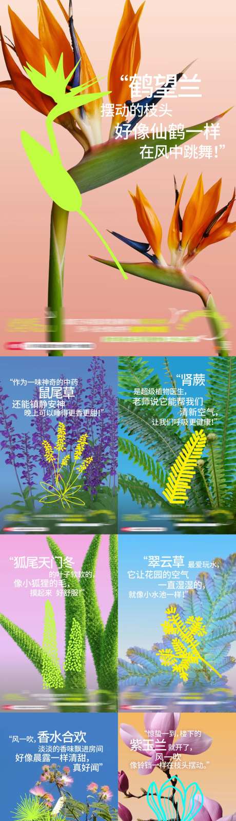 我家有个植物园系列海报-采灵感-https://www.cailinggan.com/