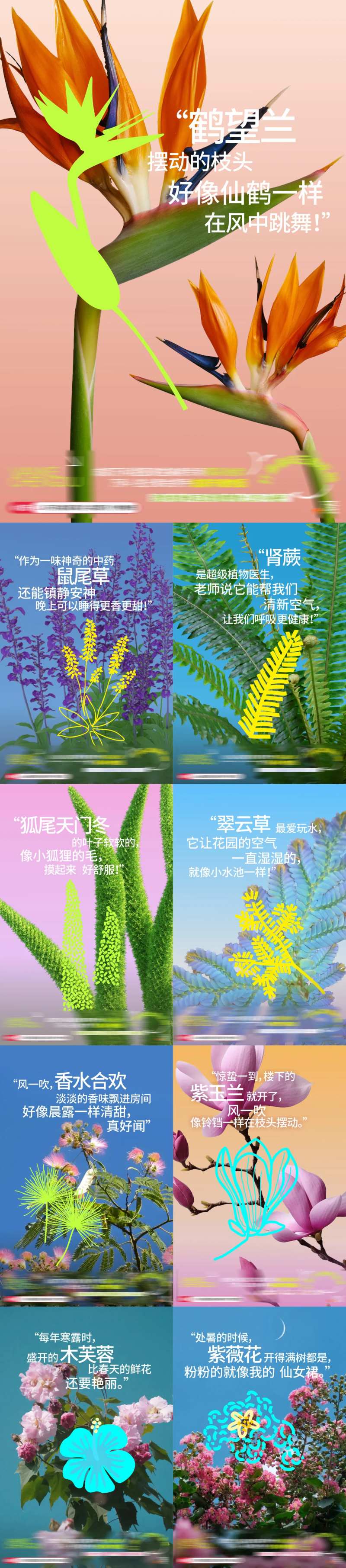 我家有个植物园系列海报-采灵感-cailinggan.com