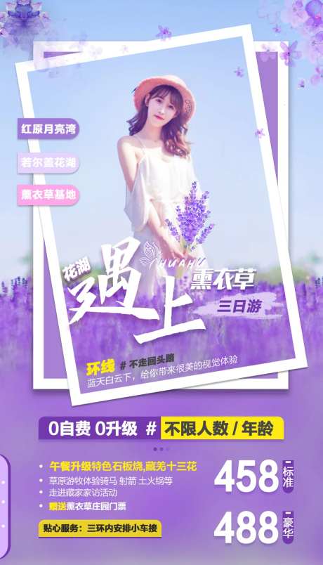 若尔盖薰衣草唯美旅游海报-采灵感-https://www.cailinggan.com/