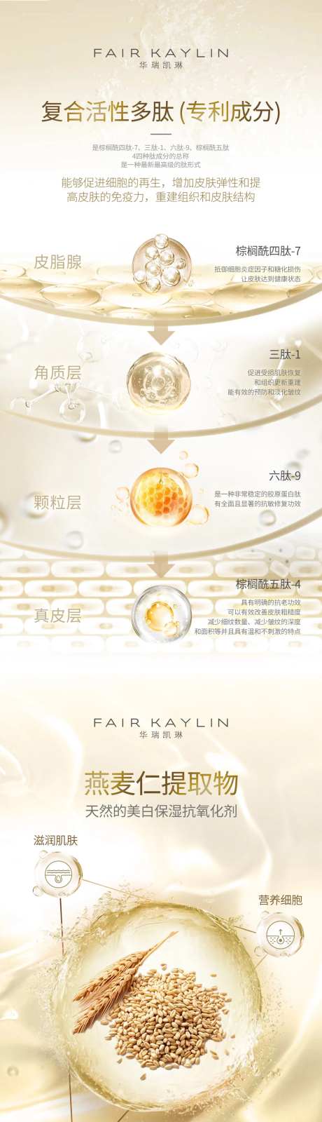 护肤品产品成分功效系列海报-采灵感-https://www.cailinggan.com/