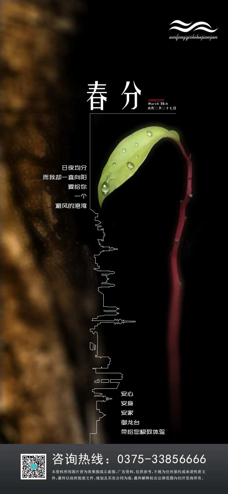 春分发芽节气海报-采灵感-cailinggan.com