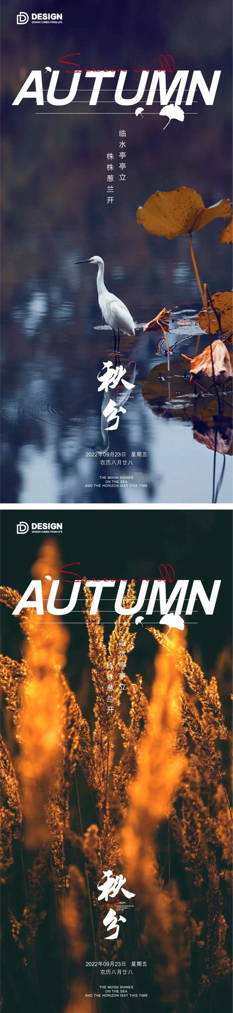 秋天叶子单图系列海报-采灵感-cailinggan.com