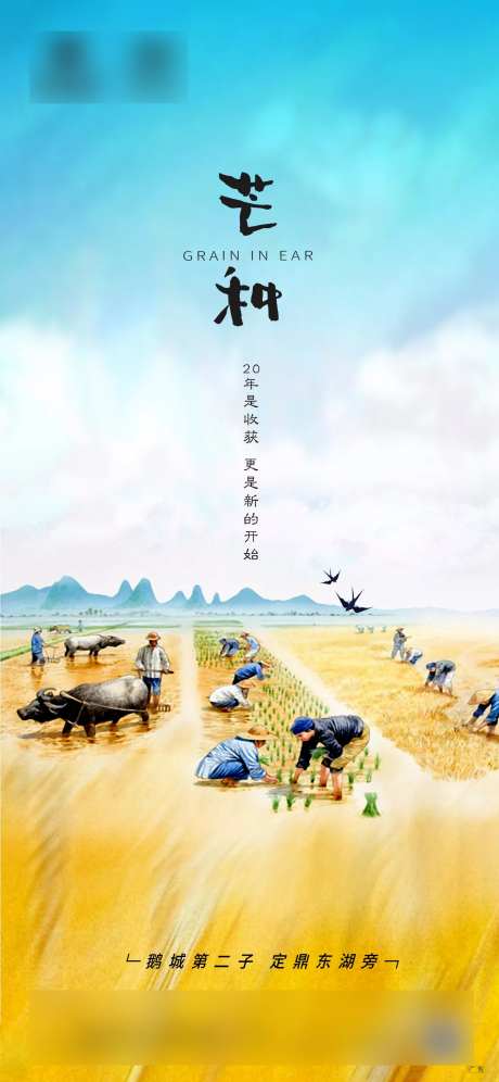 芒种节气海报-采灵感-https://www.cailinggan.com/