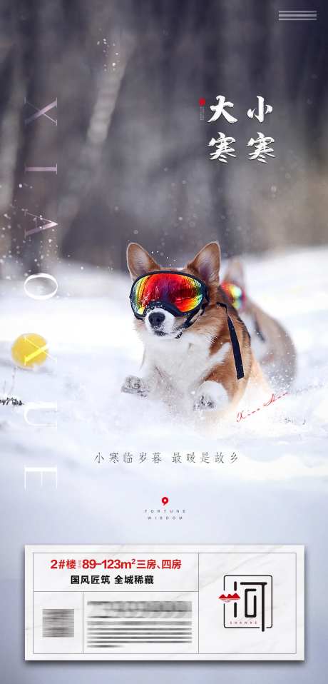 大寒海报-采灵感-cailinggan.com