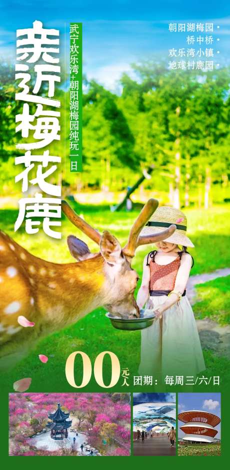亲近梅花鹿宣传海报-采灵感-https://www.cailinggan.com/