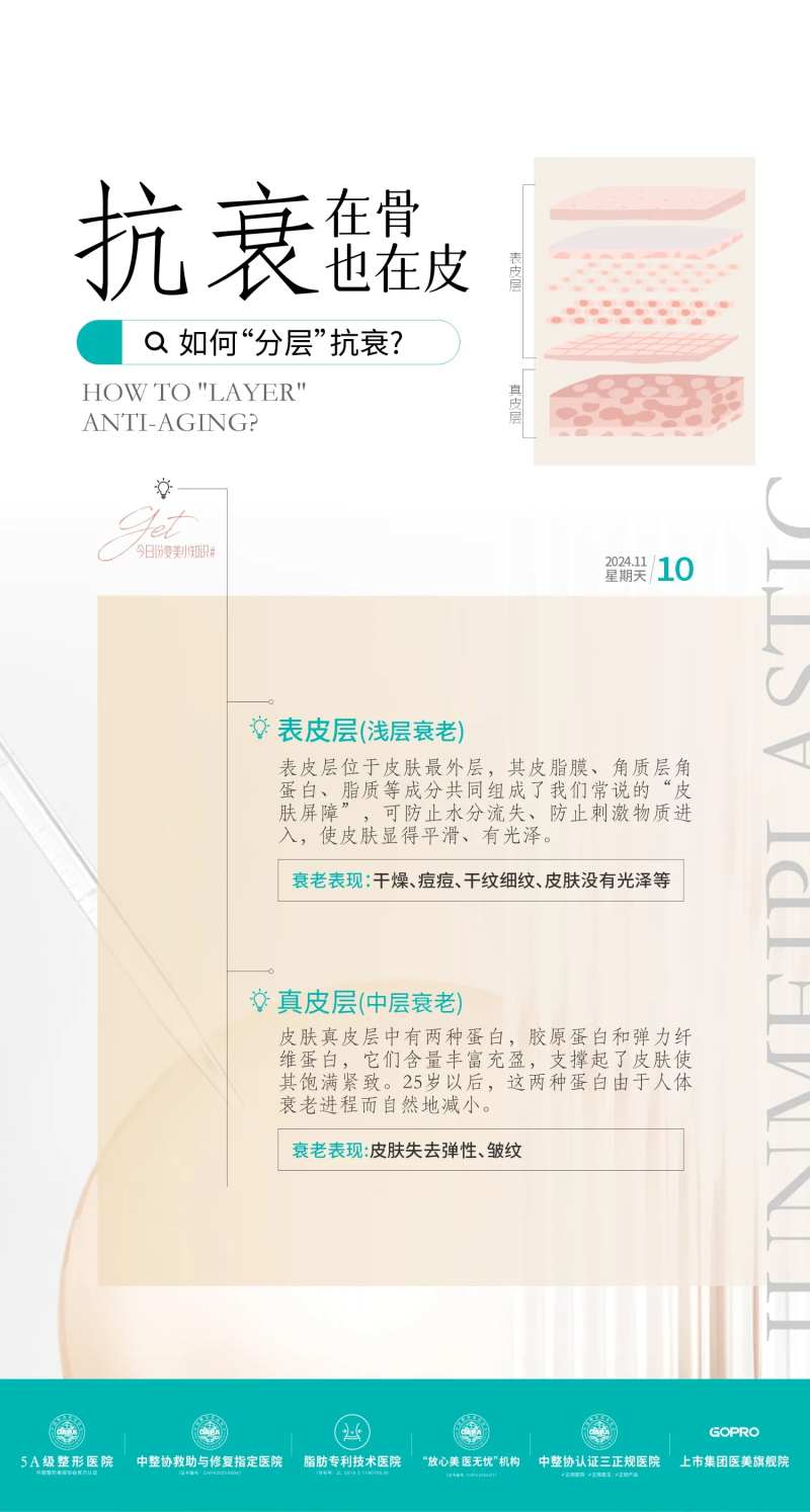 分层抗衰科普-采灵感-cailinggan.com