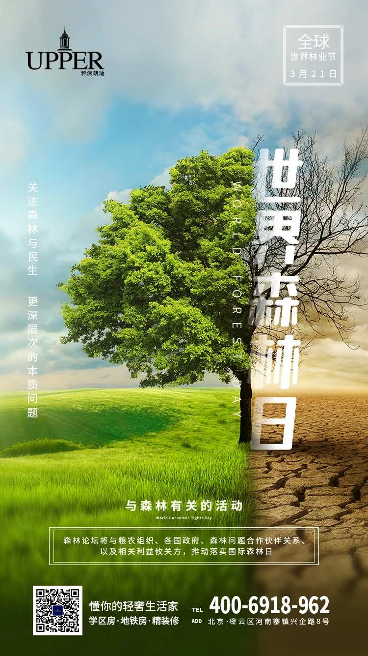 世界森林日手机海报-采灵感-cailinggan.com