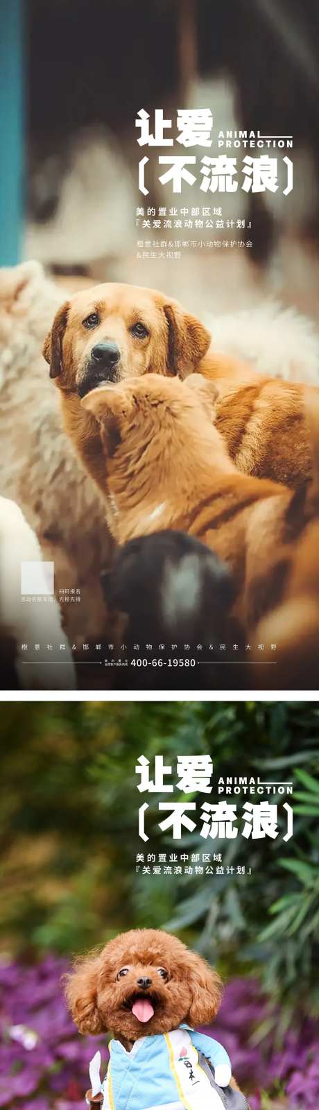 保护动物动物救助公益海报-采灵感-https://www.cailinggan.com/